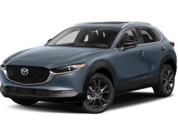 MAZDA CX-30 2022 3MVDMBDY2NM434067 image