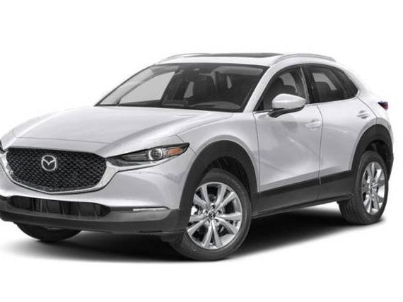 MAZDA CX-30 2022 3MVDMBDLXNM434385 image