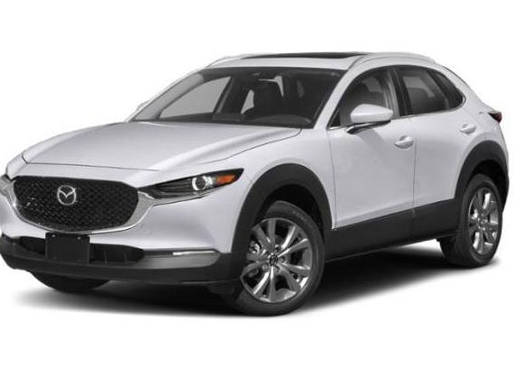 MAZDA CX-30 2022 3MVDMBCL0NM424840 image
