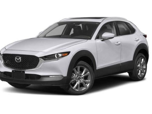 MAZDA CX-30 2022 3MVDMBCL7NM445393 image