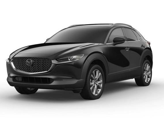 MAZDA CX-30 2022 3MVDMBDLXNM446357 image