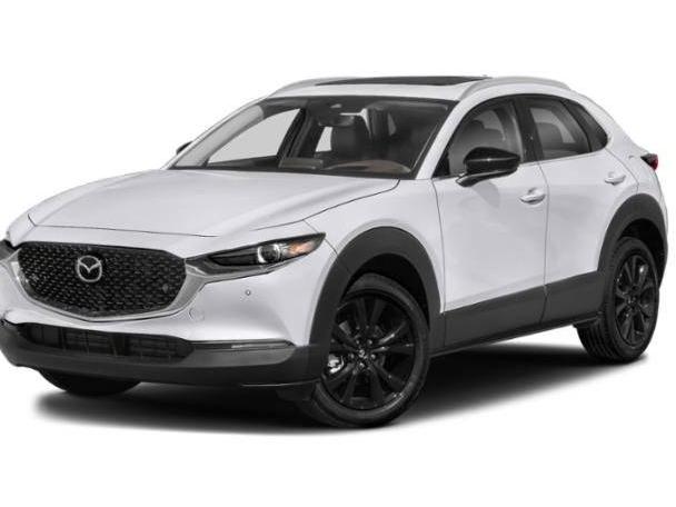 MAZDA CX-30 2022 3MVDMBEY8NM400469 image