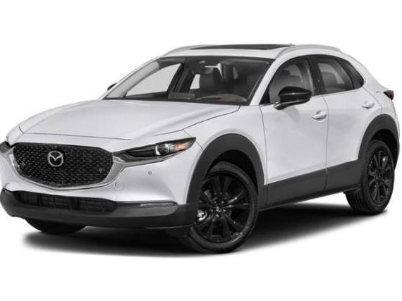 MAZDA CX-30 2022 3MVDMBEY5NM427824 image