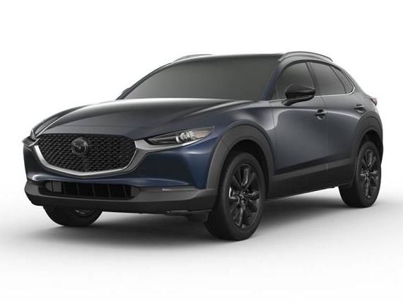 MAZDA CX-30 2022 3MVDMBDYXNM448265 image