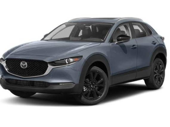 MAZDA CX-30 2022 3MVDMBAY9NM401314 image