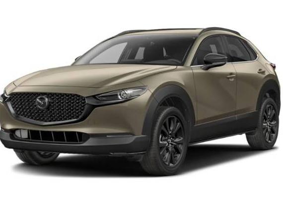 MAZDA CX-30 2025 3MVDMBXY1SM822267 image