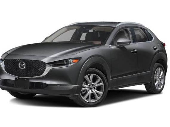 MAZDA CX-30 2025 3MVDMBDMXSM769277 image