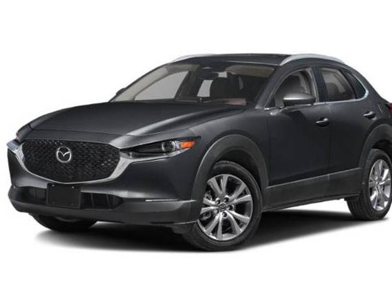 MAZDA CX-30 2025 3MVDMBDM4SM761367 image