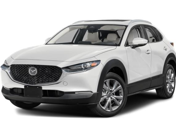 MAZDA CX-30 2025 3MVDMBCM4SM752072 image