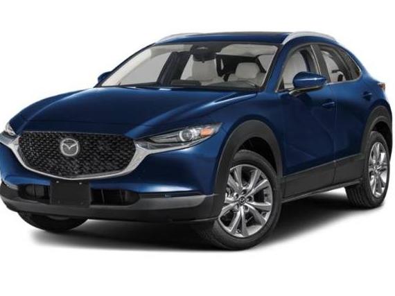 MAZDA CX-30 2025 3MVDMBCM0SM765403 image MAZDA CX-30 2025 3MVDMBCM0SM765403 image