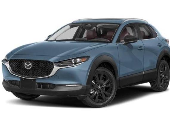 MAZDA CX-30 2025 3MVDMBCM8SM829557 image