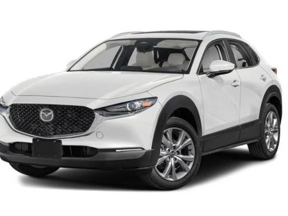 MAZDA CX-30 2025 3MVDMBCM6SM784151 image