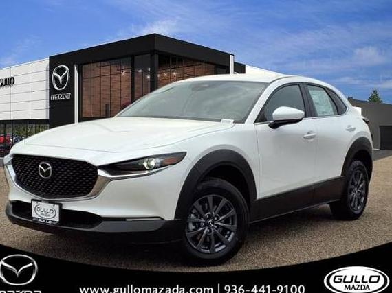 MAZDA CX-30 2025 3MVDMBAM5SM825596 image MAZDA CX-30 2025 3MVDMBAM5SM825596 image