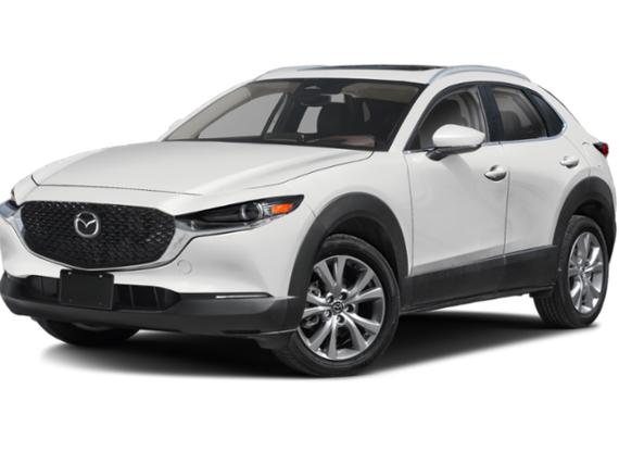 MAZDA CX-30 2025 3MVDMBDM0SM752424 image