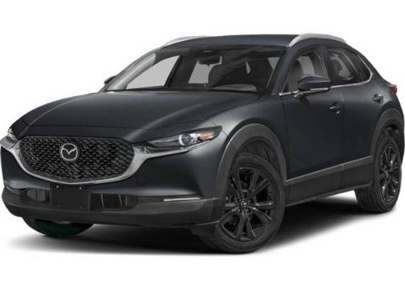 MAZDA CX-30 2025 3MVDMBBM7SM803209 image
