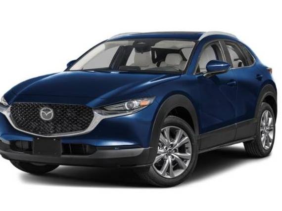 MAZDA CX-30 2025 3MVDMBCM4SM858280 image MAZDA CX-30 2025 3MVDMBCM4SM858280 image