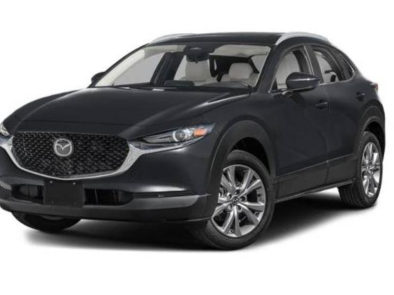 MAZDA CX-30 2025 3MVDMBCM7SM790850 image