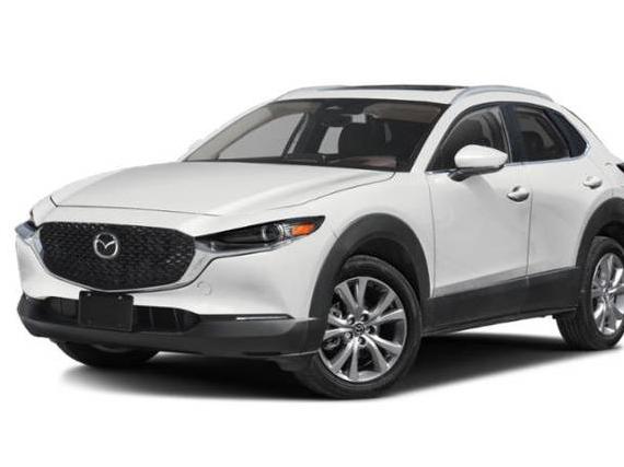 MAZDA CX-30 2025 3MVDMBDM8SM778060 image