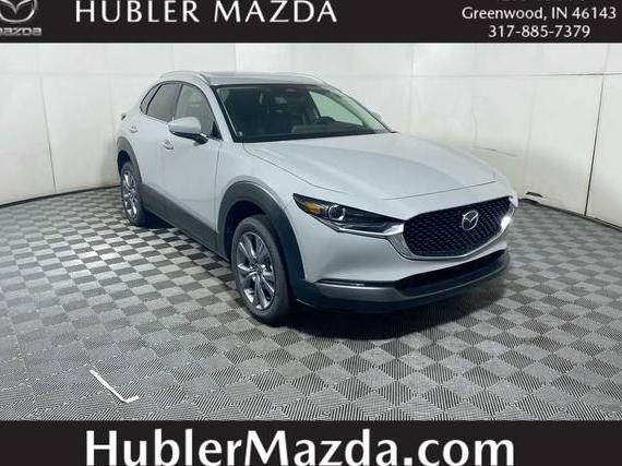MAZDA CX-30 2025 3MVDMBDM1SM774030 image MAZDA CX-30 2025 3MVDMBDM1SM774030 image