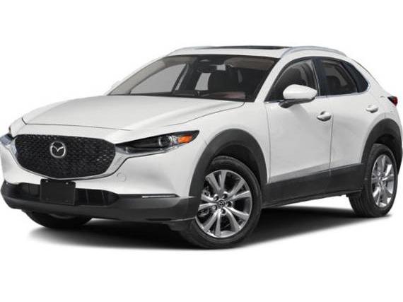 MAZDA CX-30 2025 3MVDMBDM6SM805224 image