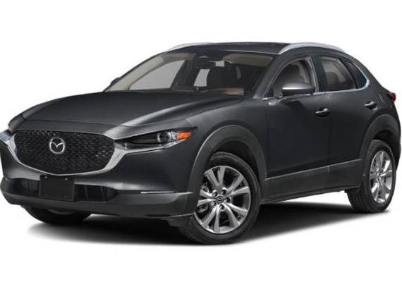 MAZDA CX-30 2025 3MVDMBDM6SM829037 image
