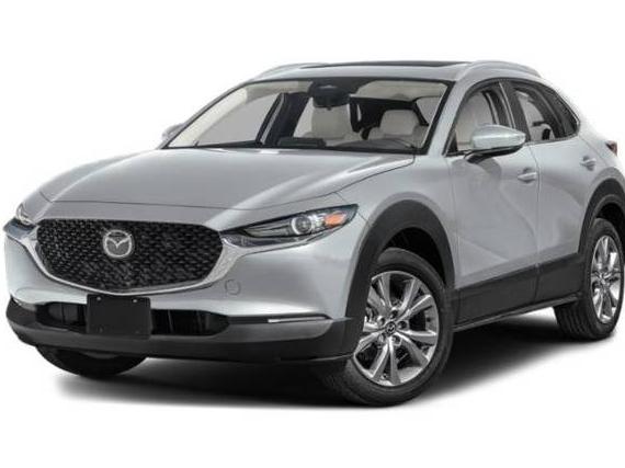 MAZDA CX-30 2025 3MVDMBCM0SM814809 image