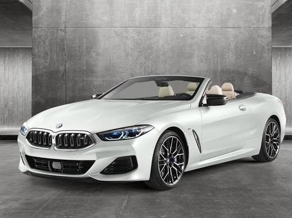 BMW M850I 2023 WBAFY4C07PCL64119 image