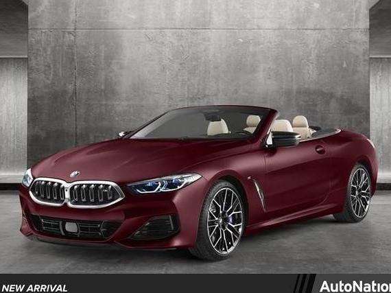 BMW M850I 2023 WBAFY4C06PCL98908 image