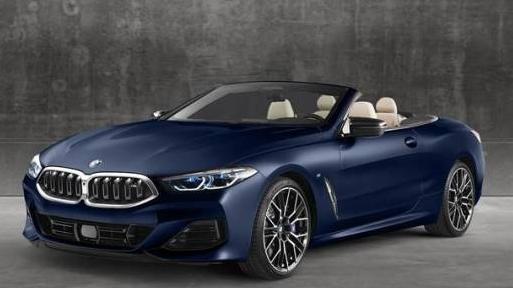 BMW M850I 2023 WBAFY4C03PCL28136 image