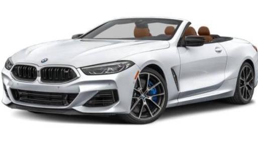 BMW M850I 2024 WBAFY4C03RCR12314 image