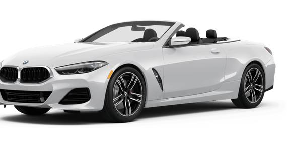 BMW M850I 2024 WBAFY4C04RCR48576 image