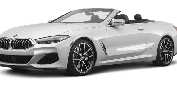 BMW 850I 2019 WBAFY4C53KBX29471 image