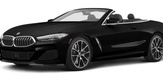 BMW 850I 2019 WBAFY4C58KBX39767 image