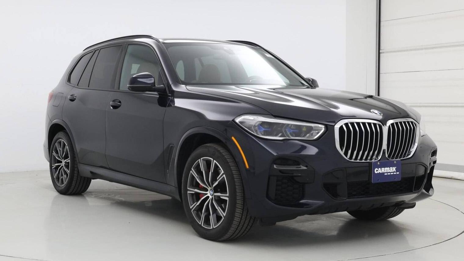 BMW X5 2023 5UXCR6C01P9P11258 image