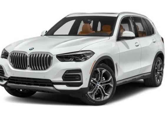 BMW X5 2023 5UXCR4C06P9N50202 image