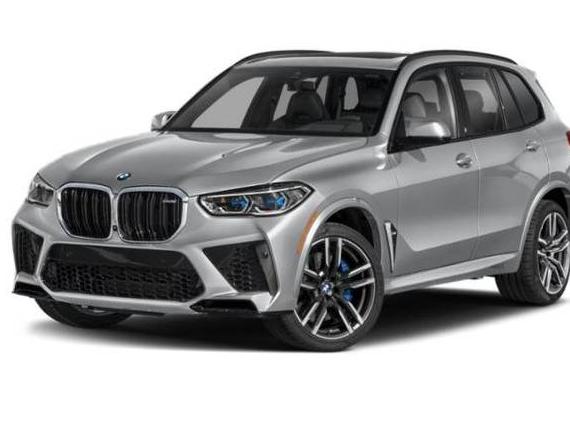 BMW X5 2023 5YMJU0C01P9P43462 image