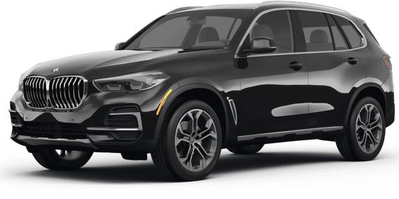 BMW X5 2023 5UXCR6C05P9P30234 image