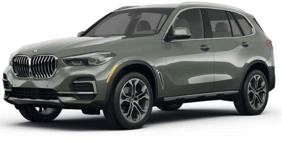 BMW X5 2023 5UXCR4C07P9P15559 image