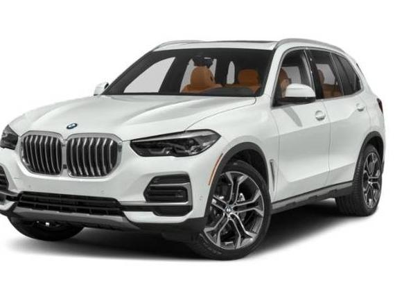BMW X5 2023 5UXCR4C07P9R74441 image