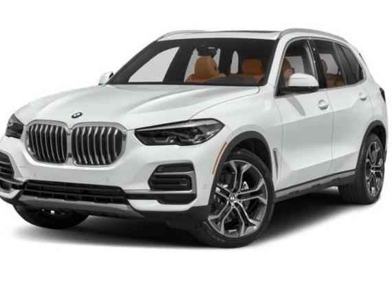 BMW X5 2023 5UXCR6C02P9S02098 image