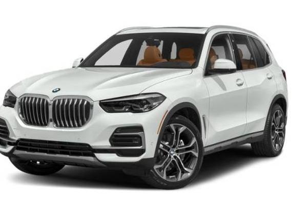 BMW X5 2023 5UXCR6C01P9P80175 image