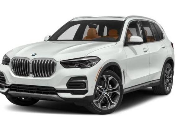 BMW X5 2023 5UXCR4C03P9P73135 image
