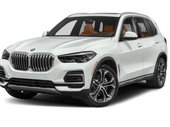 BMW X5 2023 5UXCR6C01P9P25497 image