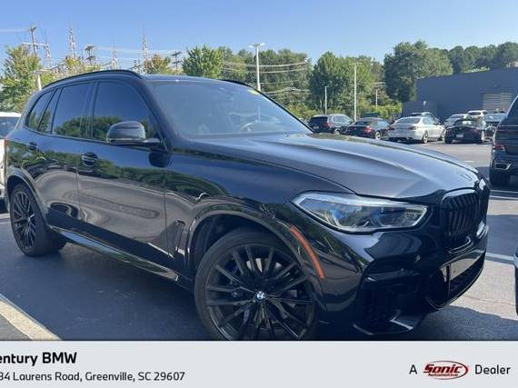 BMW X5 2023 5UXCR6C03P9N81984 image