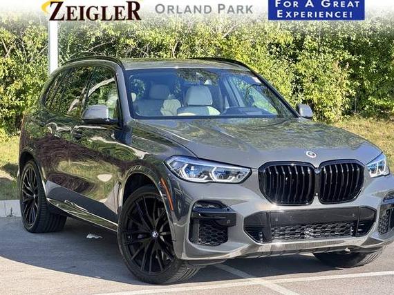 BMW X5 2023 5UXJU4C02P9P00036 image BMW X5 2023 5UXJU4C02P9P00036 image