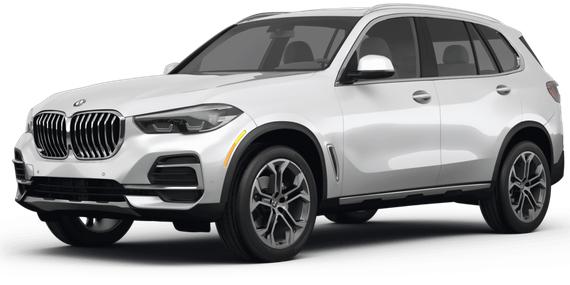 BMW X5 2023 5UXCR6C04P9N44099 image