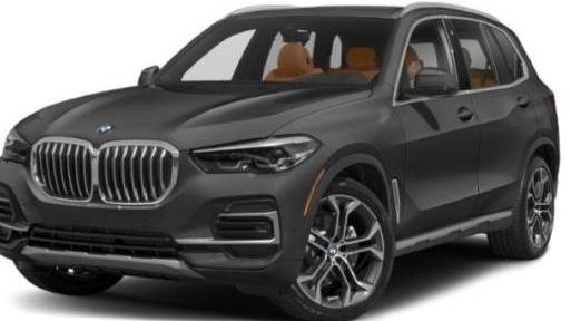 BMW X5 2023 5UXCR6C04P9N45799 image