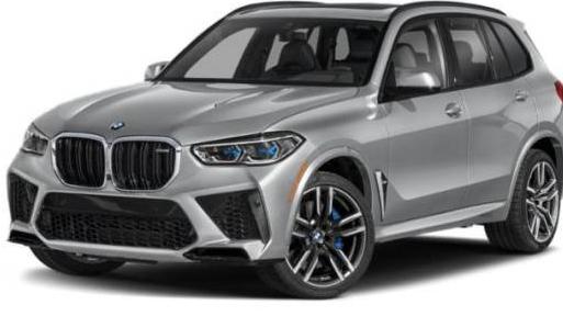 BMW X5 2023 5YMJU0C03P9R63976 image