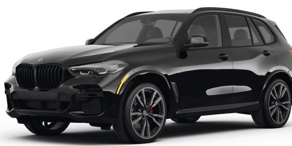 BMW X5 2023 5UXJU4C02P9N58383 image
