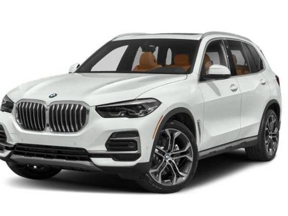 BMW X5 2023 5UXCR6C06P9P35619 image